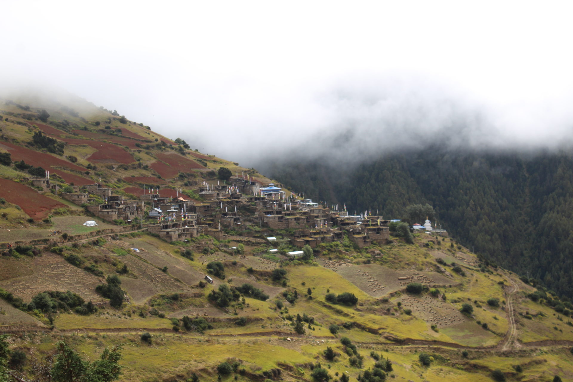 Nepal day 11: Mountains and Eagles