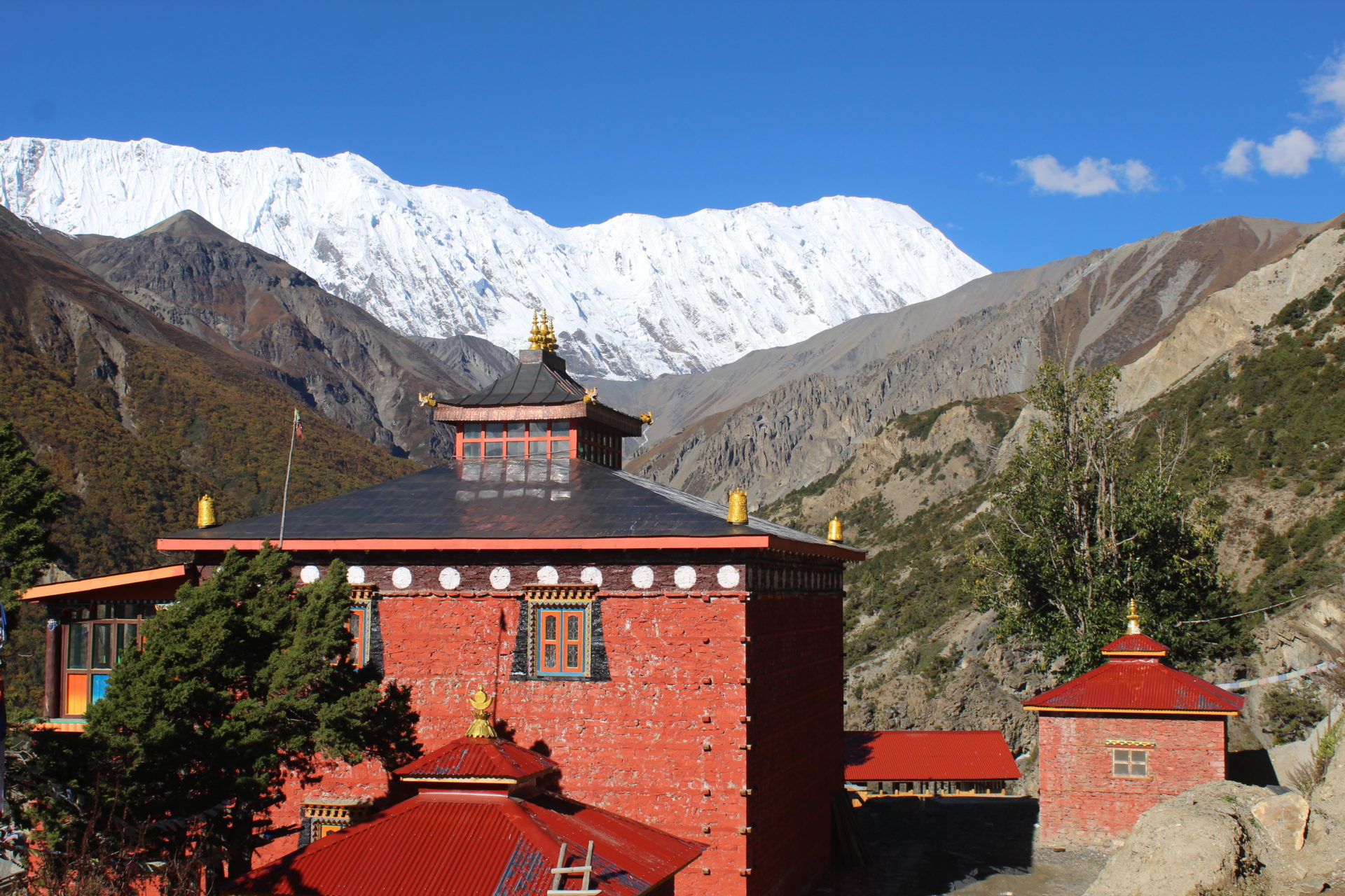Nepal day 14-19: Suffering from altitude sickness