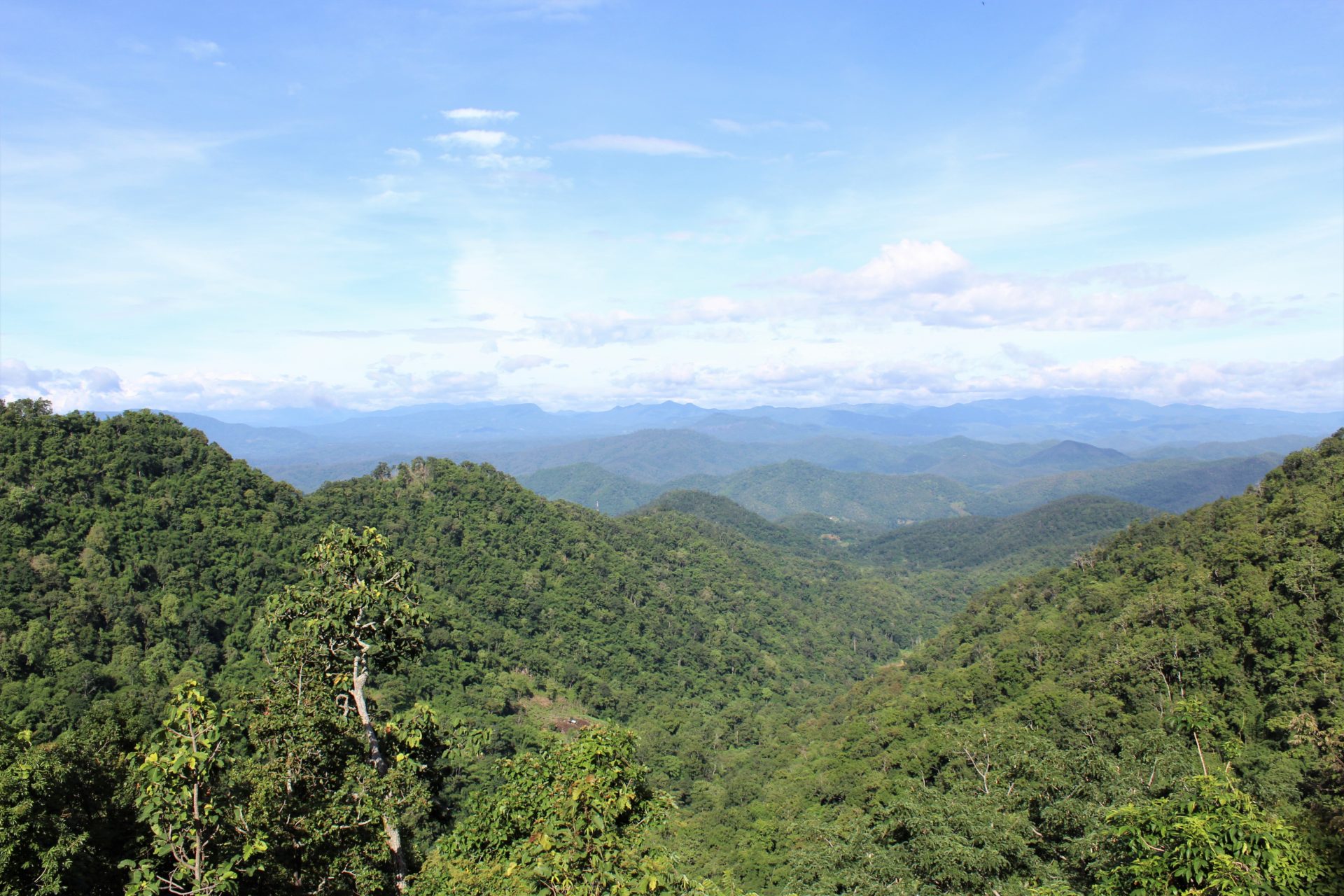 Sameong Loop Viewpoint